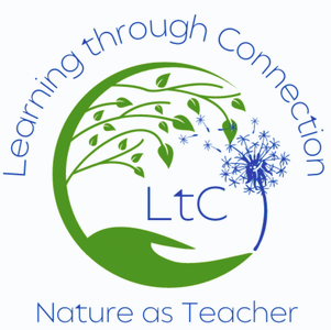 Learning Through Connection.png