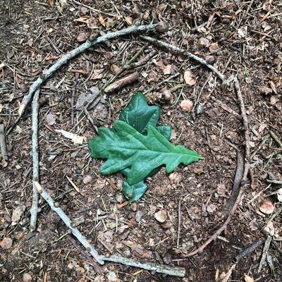 Nature_Premium_Stick_Circle.jpeg