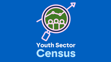 Youth Sector Census.png