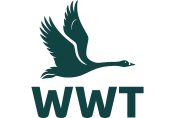 Logo of WWT